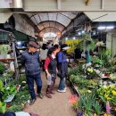 제주시민속오일시장 이미지