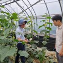 지도센터-2 이미지