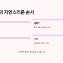 폭시토커원어민영어회화 네이버블로그