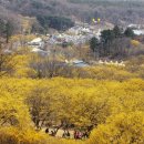 선사시대로 탐방 길(선사2코스) 이미지