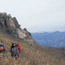 화령분소 | 상주 49번지방도-상오리 장각계곡~속리산