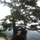 산중문답 이미지