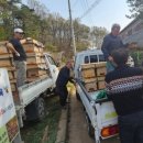 김포시농업기술센터 이미지