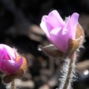 순천만 여행 이미지