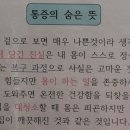 이천에스한의원 이미지