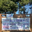 제주 올레길 11코스 | 백수의 버킷리스트 제주 올레길 완주 목표 [2일차] / 올레길 11코스 정주행 완주 후기