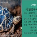 2025년 집단꿈투사 안내자 과정 2기 금요일 클래스 안내 이미지