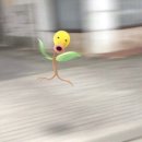 라라속눈썹 이미지