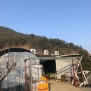 홍선정가든