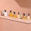 시로(shiro) 이미지