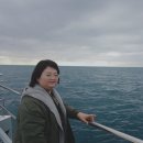 힐링워커스 이미지