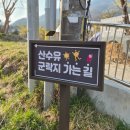 연현마을 공중화장실 | [경기/이천] 아기랑 이천 산수유마을 백사산수유축제 둘러보기(3.28 개화상황)