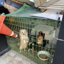 세븐일레븐평택현덕권관점 이미지