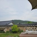 반딧불민박 | 담양숙소 망인당고택민박 후기