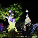 포레스트12 이미지