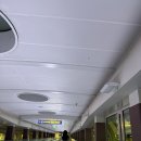 4박5일 푸꾸옥 여행 - DAY1 비엣젯항공 후기 스파 킹콩마트 네일 야시장 마사지 픽업 이용 야시장 쇼핑...