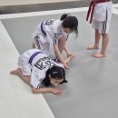 타이거 합기도 이미지