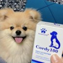 제이에이치바이오팜 이미지