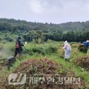 평안정비 이미지