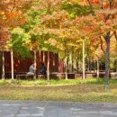 판교로256번길 이미지