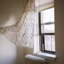 아나스타시아 이미지