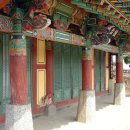 곡성-228 Daum카페
