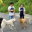 현대동물병원 이미지