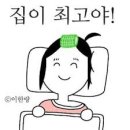 얼바인 네이버블로그