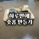 천봉공인중개사 | [부산 영상편집 수업후기] 공인중개사 영상 제작 실습 수업