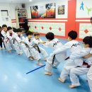 반송월드태권도 이미지