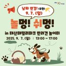 놀멍 이미지