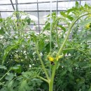 성원농장 이미지