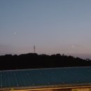 안나펫살롱 이미지