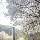 카라반공인중개사사무소 이미지