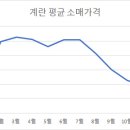 선제농장 계란