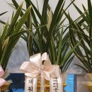 정토한의원 이미지