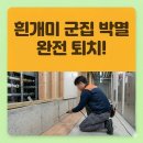 성산구청 | 창원시 성산구 상남동 흰개미 퇴치! 뿌리 깊은 군집까지 박멸하는 하나방역의 기술