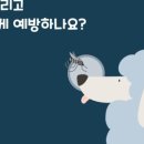괜찮아동물병원 이미지