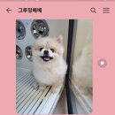 그루밍베베 이미지