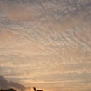 노을농장 이미지