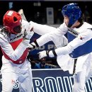 한국체대월드태권도 이미지