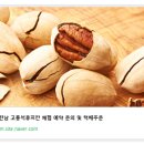 나온농장 티스토리