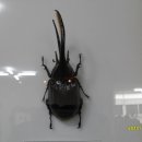 충우농장 이미지