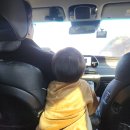 기두2길 | 12월 8일-14일 27개월 가정보육 수안보온천 주전자 동요 송도파충류관상어박람회