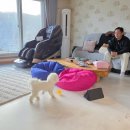 양양하조대마당넓은밤하늘별빛펜션 이미지