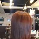 스펠라헤어메디컬 이미지