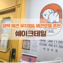 쉐이크테일 강아지 애견 유치원 호텔 미용 | 평택 애견유치원 애견호텔 어디 맡길까? 5번 이상 맡긴 쉐이크테일 이용 후기
