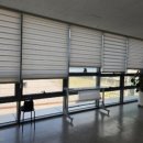 더리브디하우트 이미지