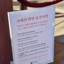 원모사 | 경복궁 교태전 한시개방(feat.부벽화 모사도)
