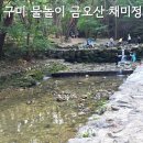 채미정 | 구미 물놀이 금오산계곡 채미정 물고기 잡기